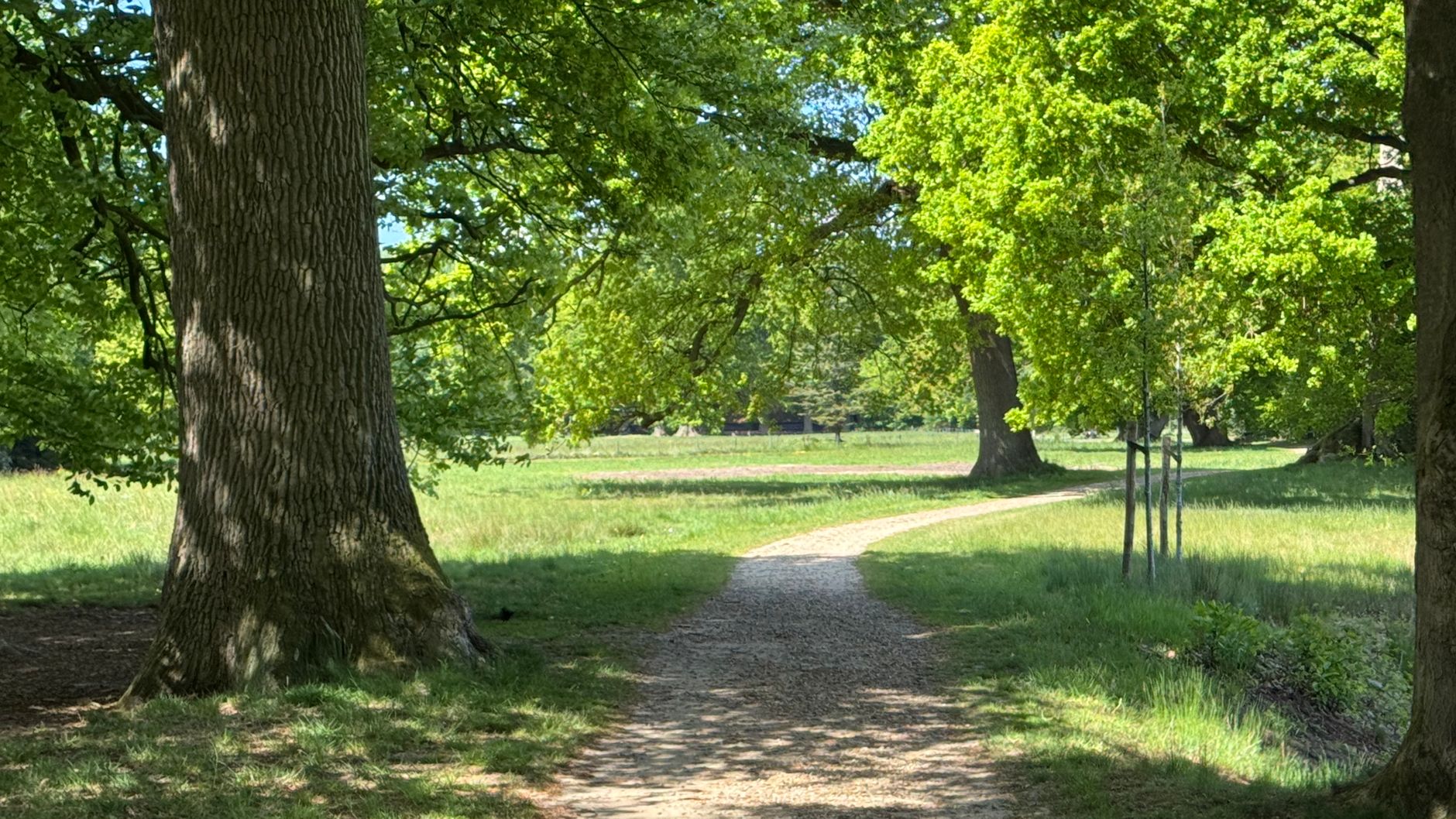 Lutte contre les nuisibles à Villejuif